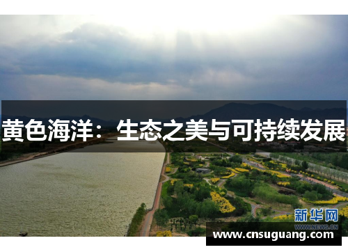 黄色海洋：生态之美与可持续发展